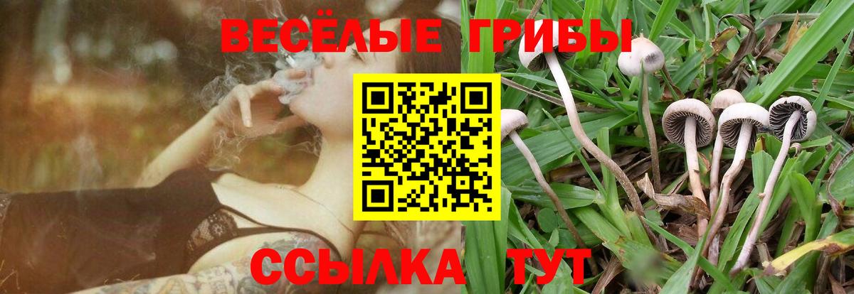 Псилоцибиновые грибы Psilocybine cubensis Лянтор